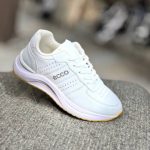 IMG_20251019_111014_503_160608