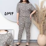 Cropped_Image1770240850347_010430