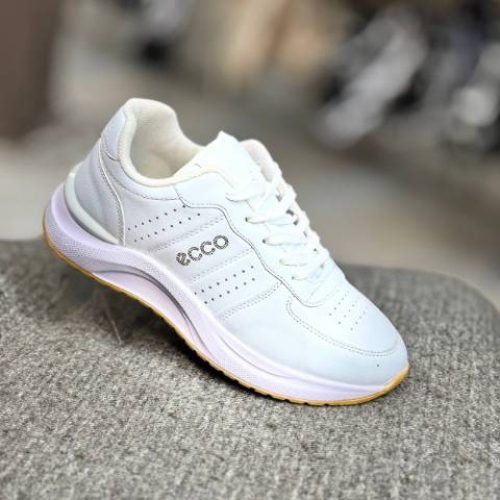 IMG_20251019_111014_503_160608