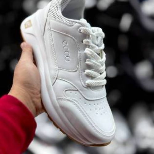 IMG_20260210_101723_824_101742